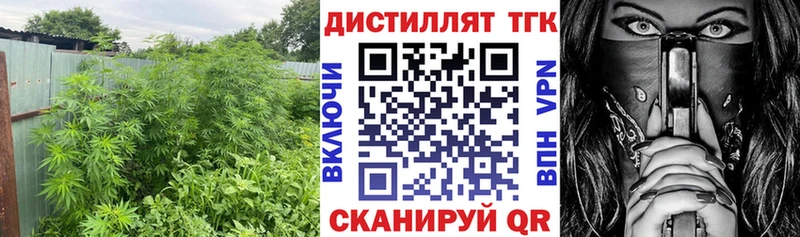Купить закладки  Сорочинск  ТГК концентрат 