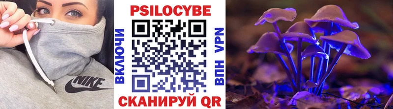 Купить где  Сорочинск  Галлюциногенные грибы Psilocybine cubensis 